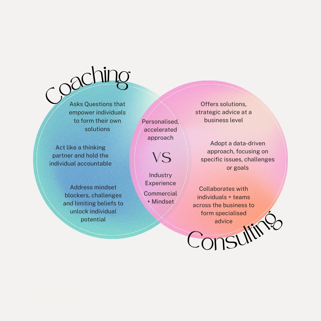 A hybrid: business coaching vs consulting