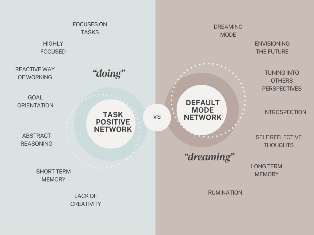 TASK POSITIVE NETWORK VS DEFAULT MODE NETWORK